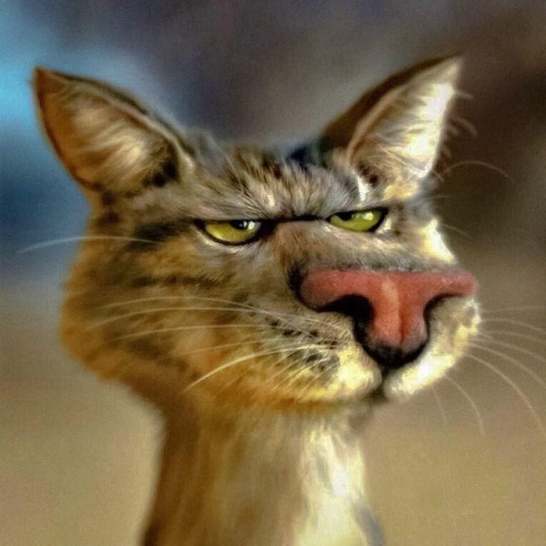 кот смеется