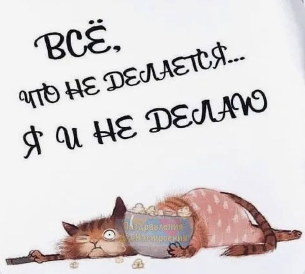 шуточные высказывания