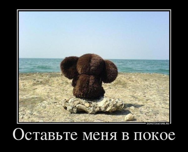 грустный чебурашка