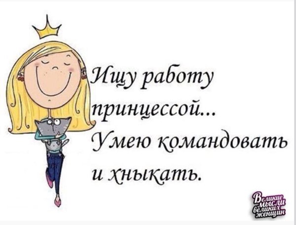 прикольная фраза