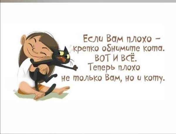 если вам плохо обнимите кота