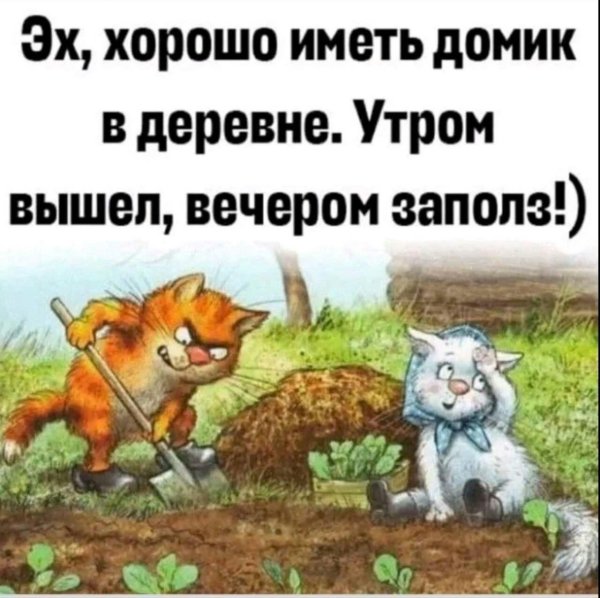 хорошо иметь домик в деревне утром вышел вечером заполз