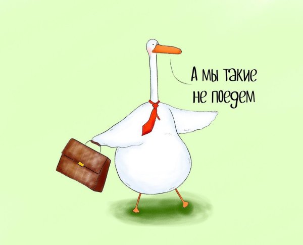 гусь прикольный