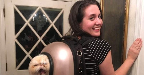 смешной рюкзак