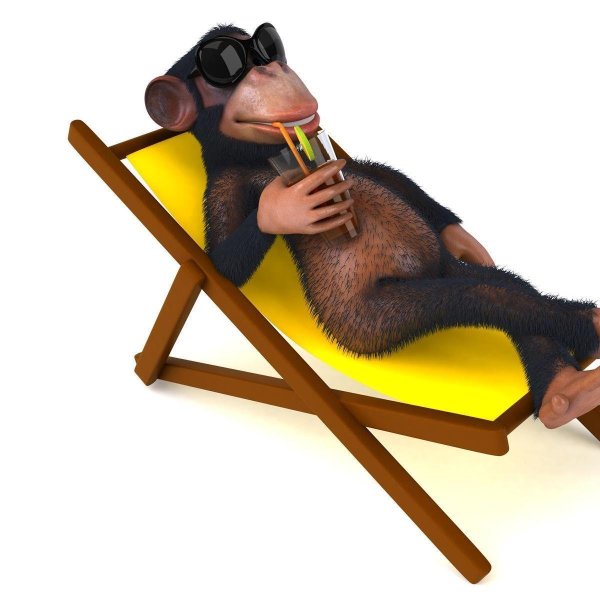 обезьяна в кресле
