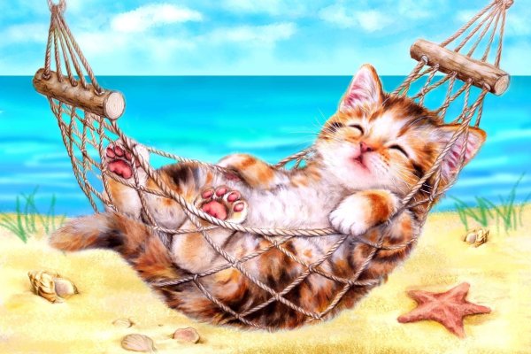 котёнок в гамаке