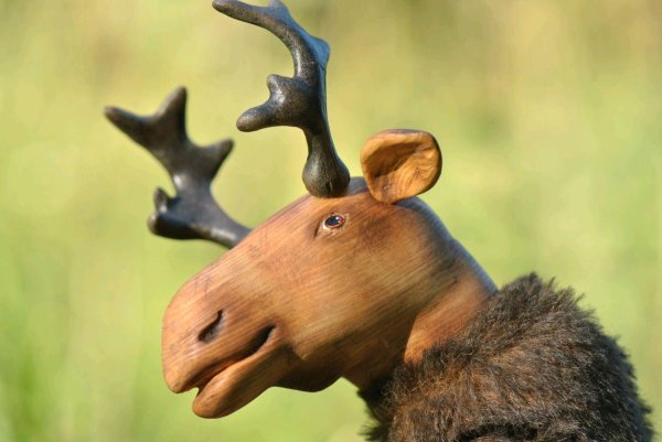 чучело головы лося