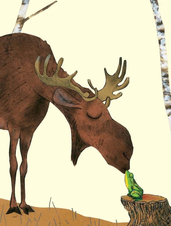 иллюстрации с животными