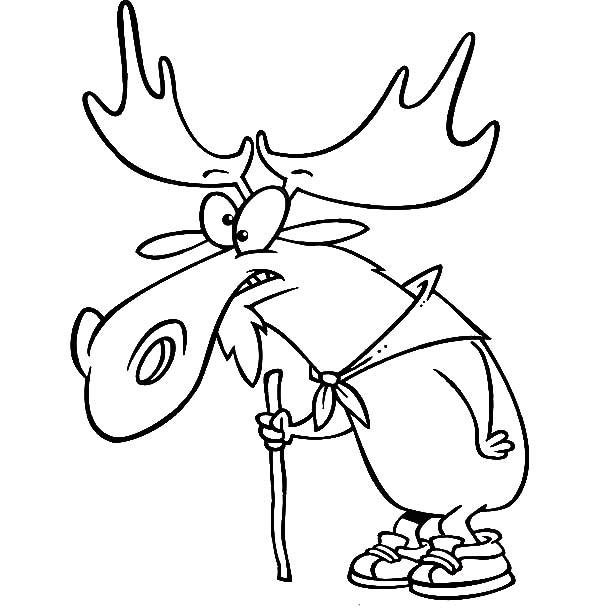 раскраска олени