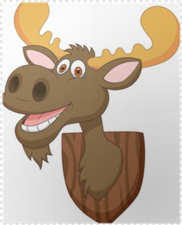 moose head