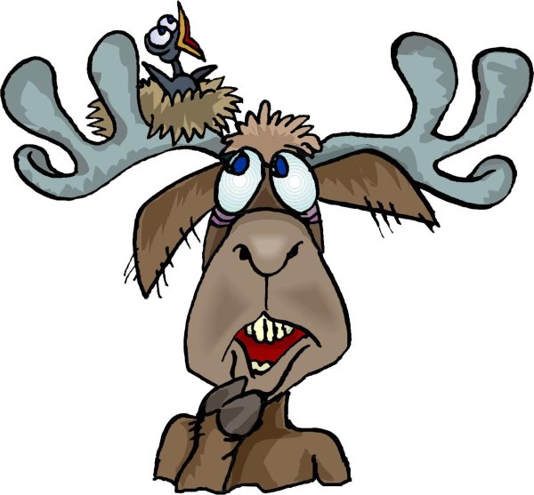 смешной олень