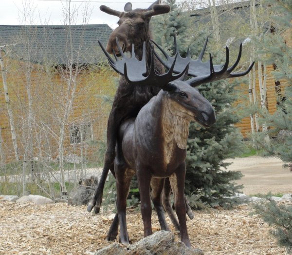 памятник лосю в советске калининградской области