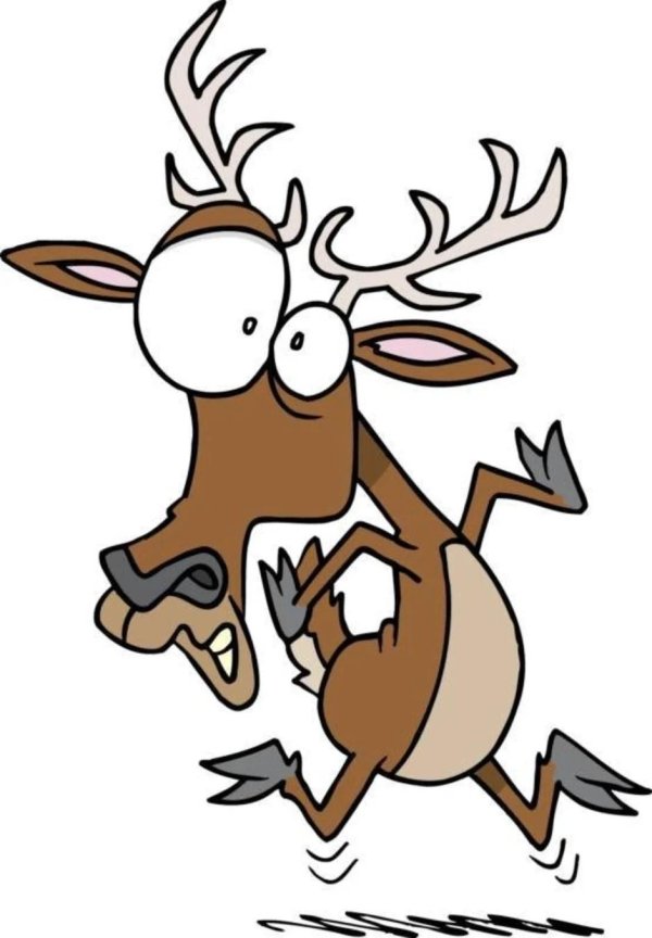 олень тупой