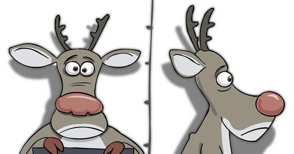 reindeer reindeer