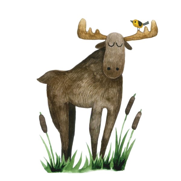 лоси рисунок