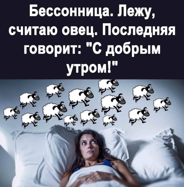 считать овец