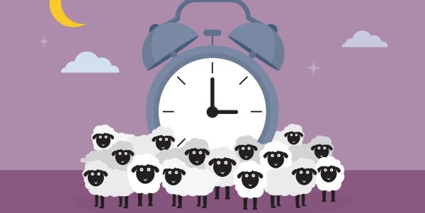 сонная овечка