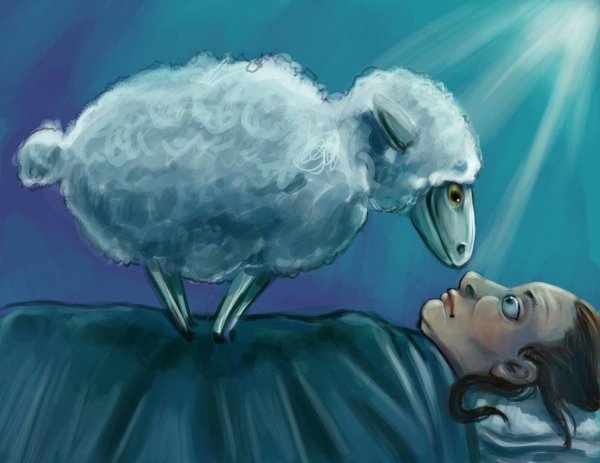 барашек арт