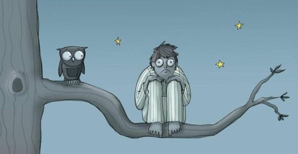 совы мультяшные