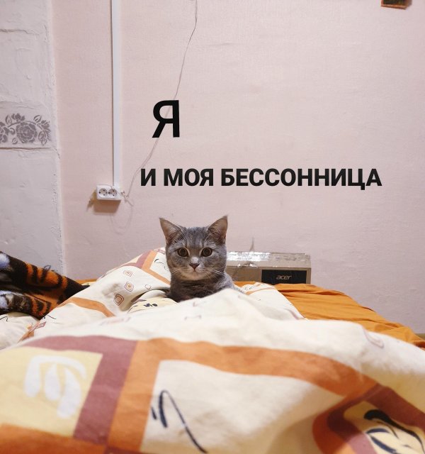 шутки про бессонницу