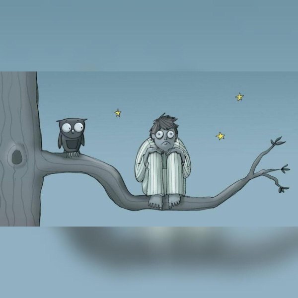 совы мультяшные