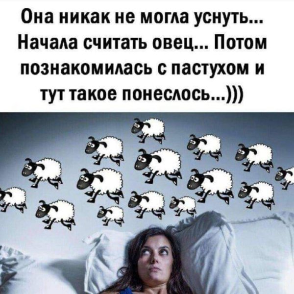 считать овец