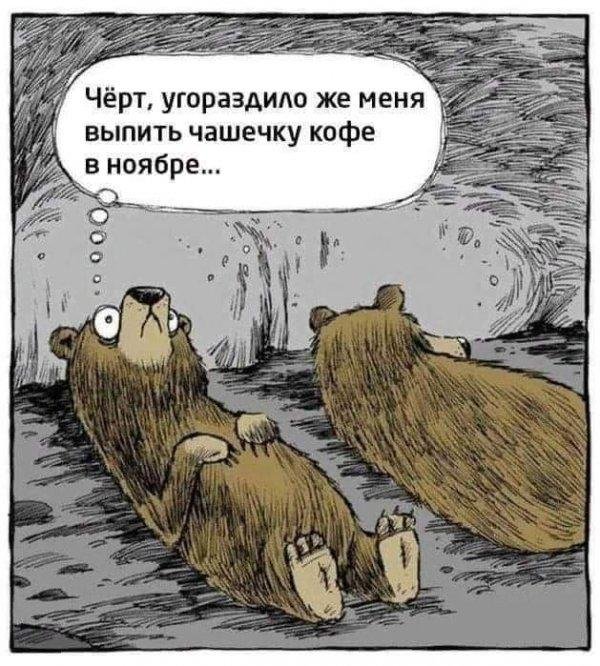 угораздило же меня