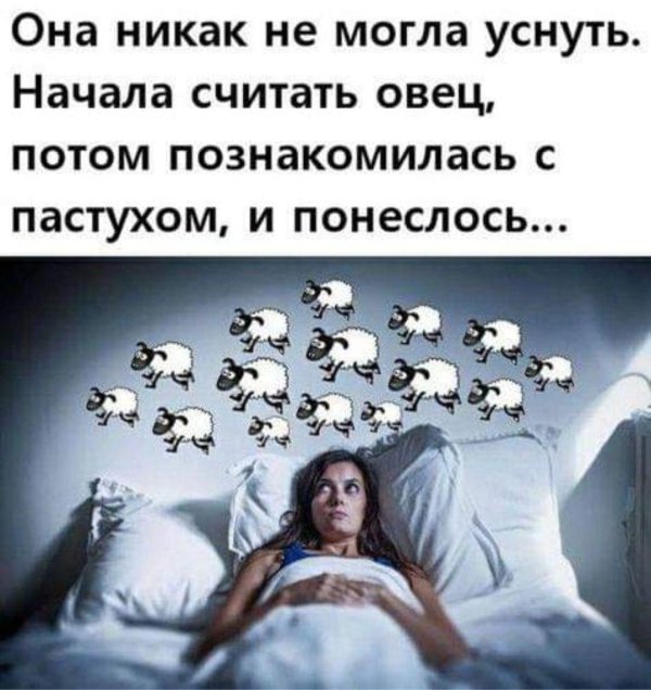 считать овец