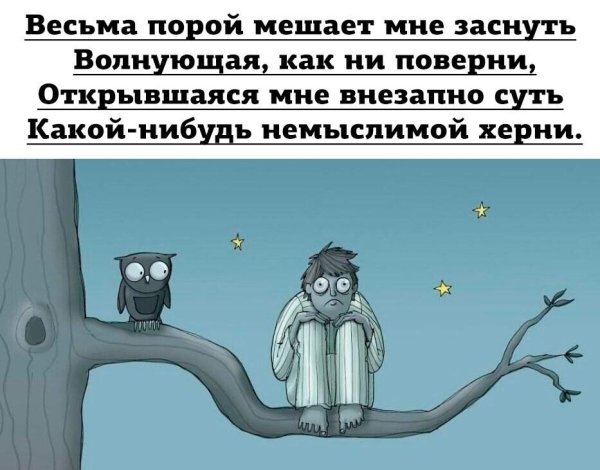 весьма порой мешает мне заснуть волнующая
