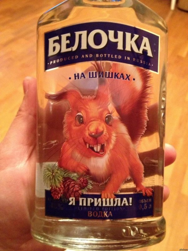 пришла белочка