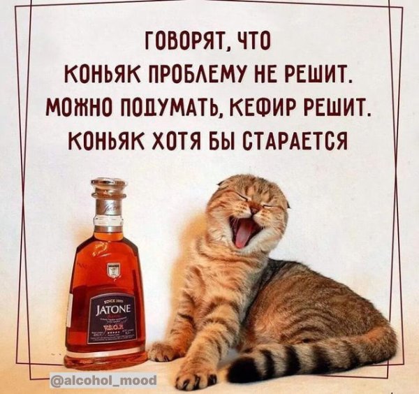 коньяк юмор