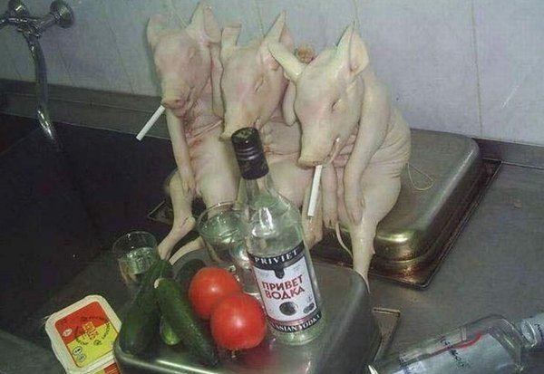 пьяная свинья