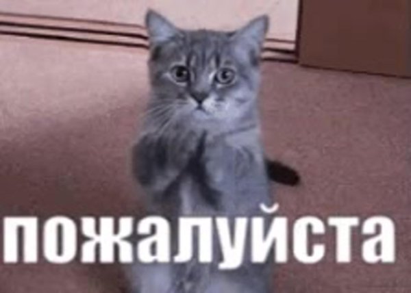 Всегда пожалуйста