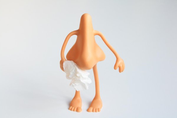 нос человека