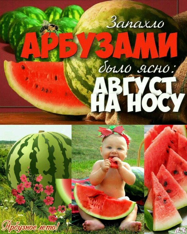 мой маленький арбузе