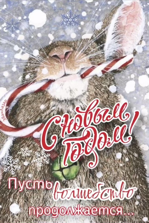 новогодние открытки с зайцами