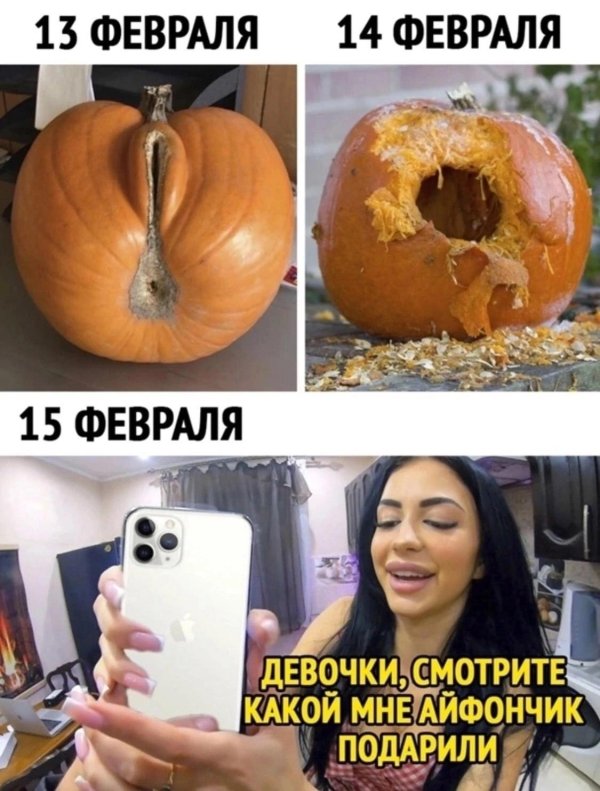 тыква большая