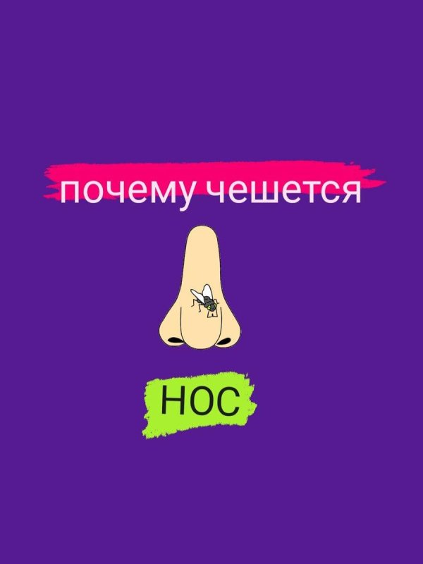 к чему чешется переносица