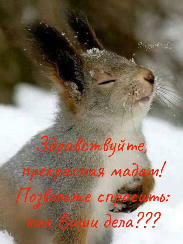 белка спасибо