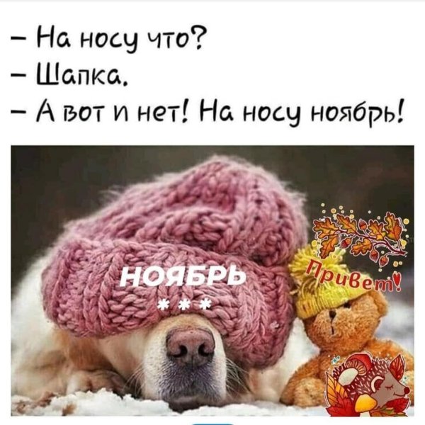 нет носа
