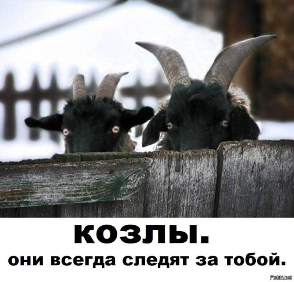 Я за тобой слежу