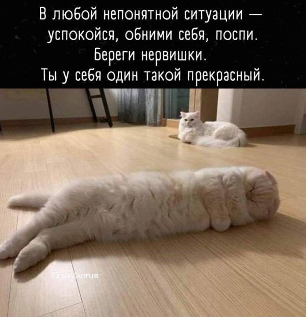 Успокойся