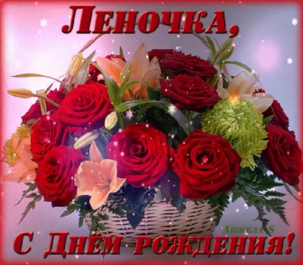 Лена с днюхой