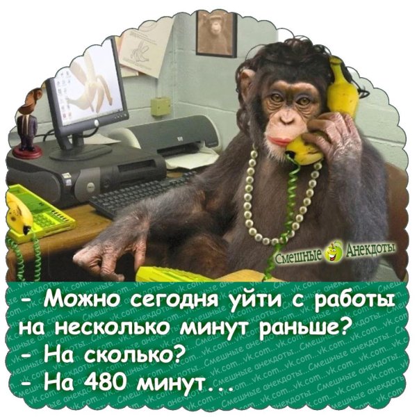 И снова трудовые будни