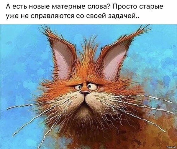 рыжие коты