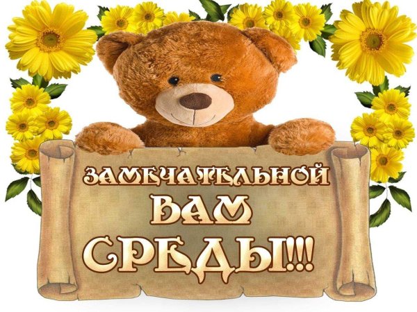 замечательной среды