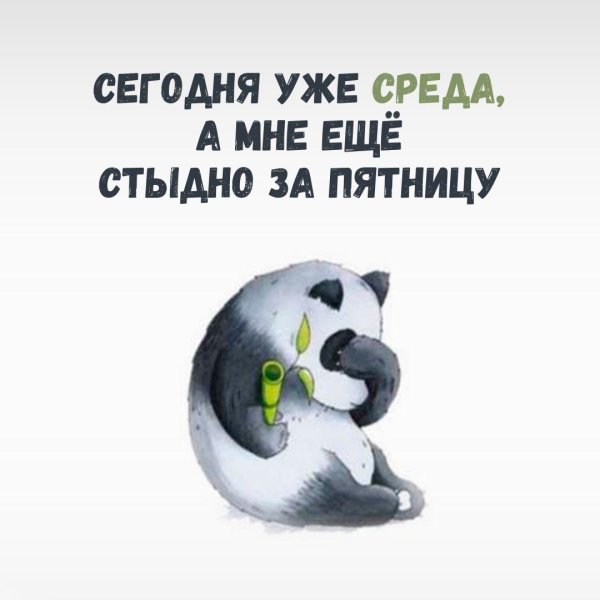 панда прости