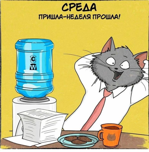 среда пришла неделя