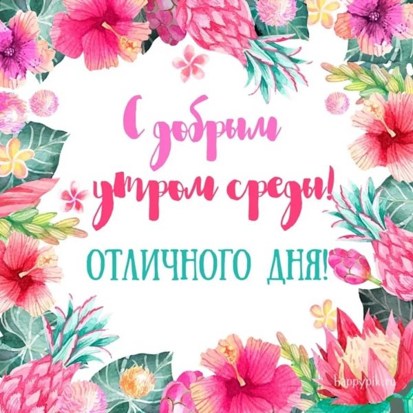 открытки отличной среды