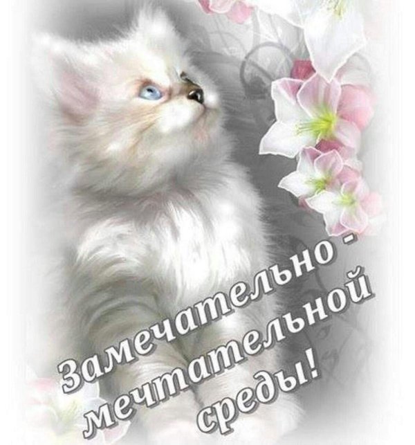 пожелание хорошей среды